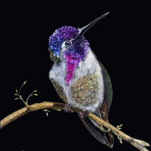 100-360 dressed to the 9's